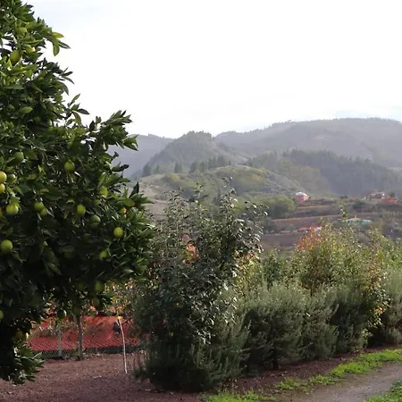 En San Mateo Las Palmas de Gran Canárias