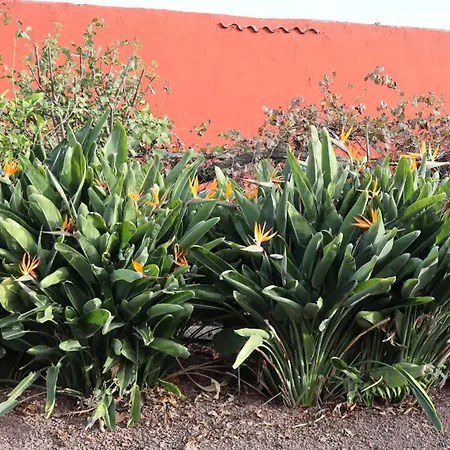 En San Mateo Apartamento Las Palmas de Gran Canárias