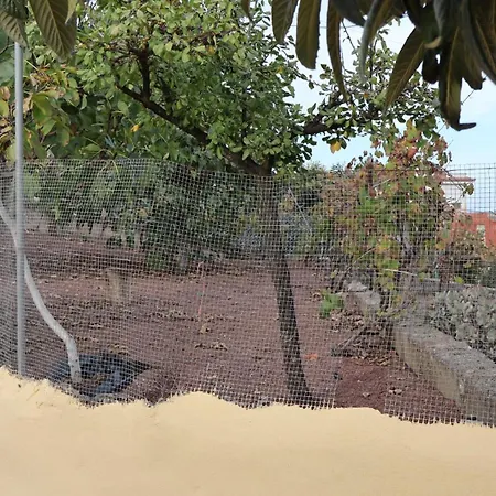 En San Mateo * Las Palmas de Gran Canárias